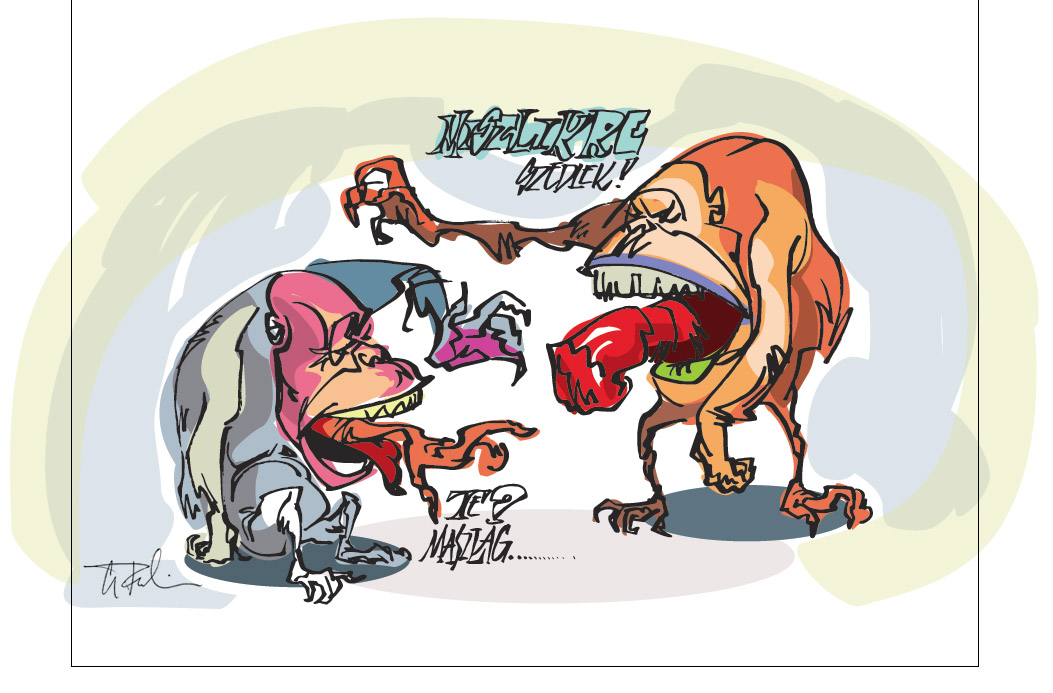 Majmok vitaja, karikatura - monkey business, cartoon